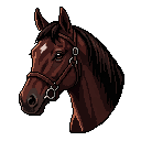 Amber Rumour, Liver chestnut